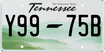 TN license plate Y9975B