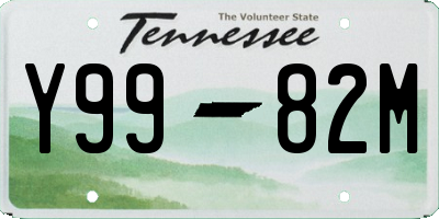 TN license plate Y9982M