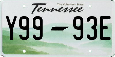 TN license plate Y9993E