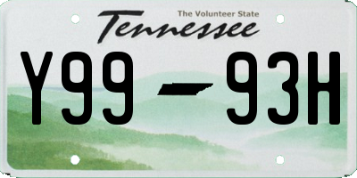 TN license plate Y9993H