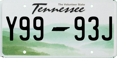 TN license plate Y9993J
