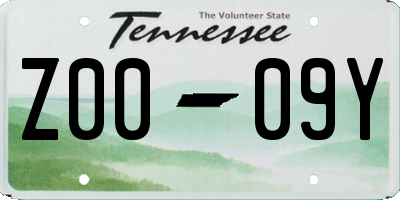 TN license plate Z0009Y