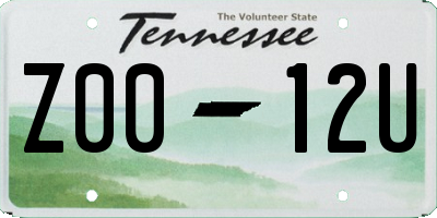 TN license plate Z0012U