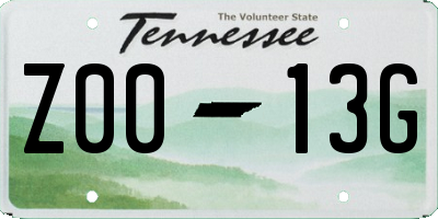 TN license plate Z0013G
