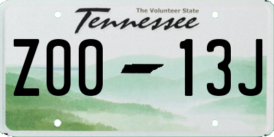 TN license plate Z0013J