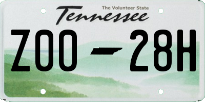 TN license plate Z0028H