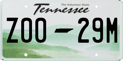TN license plate Z0029M