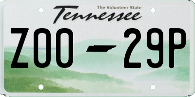 TN license plate Z0029P