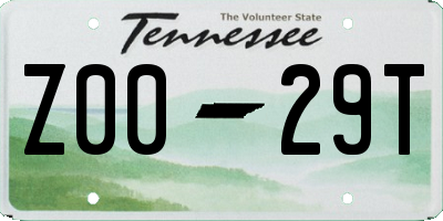 TN license plate Z0029T