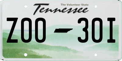 TN license plate Z0030I