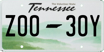TN license plate Z0030Y