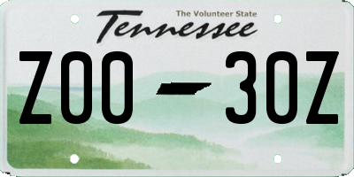 TN license plate Z0030Z
