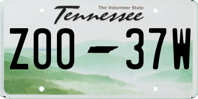 TN license plate Z0037W