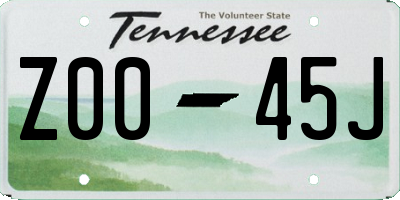 TN license plate Z0045J