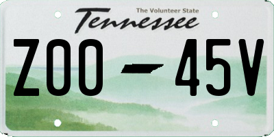 TN license plate Z0045V