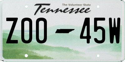 TN license plate Z0045W
