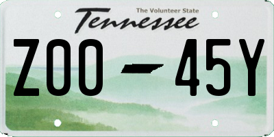 TN license plate Z0045Y