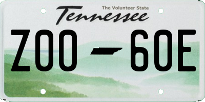 TN license plate Z0060E
