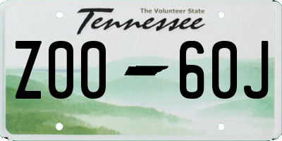 TN license plate Z0060J