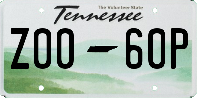 TN license plate Z0060P