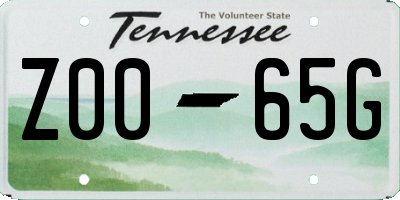 TN license plate Z0065G