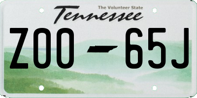 TN license plate Z0065J