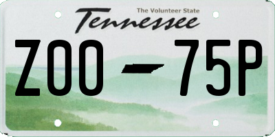 TN license plate Z0075P