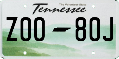 TN license plate Z0080J