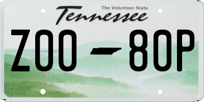 TN license plate Z0080P