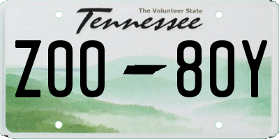 TN license plate Z0080Y