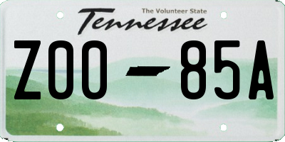 TN license plate Z0085A