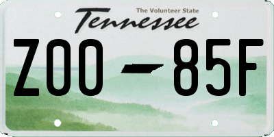 TN license plate Z0085F