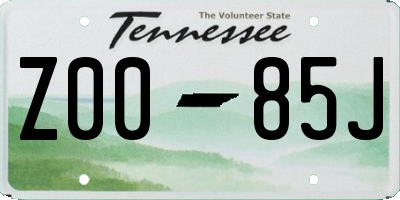 TN license plate Z0085J