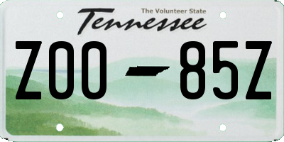 TN license plate Z0085Z