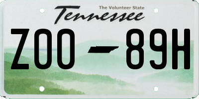TN license plate Z0089H