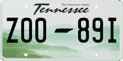 TN license plate Z0089I