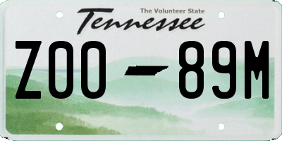 TN license plate Z0089M