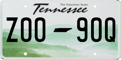 TN license plate Z0090Q