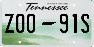 TN license plate Z0091S