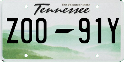 TN license plate Z0091Y
