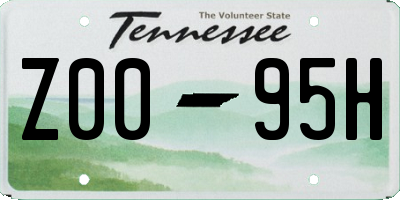 TN license plate Z0095H