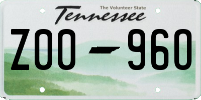 TN license plate Z0096O