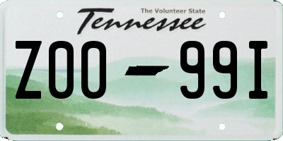 TN license plate Z0099I