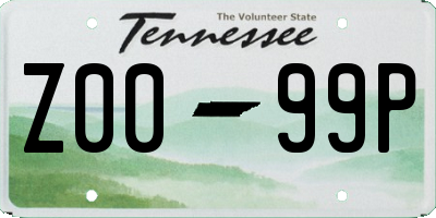 TN license plate Z0099P