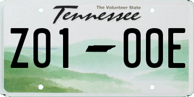 TN license plate Z0100E