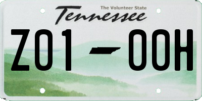TN license plate Z0100H