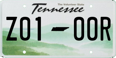 TN license plate Z0100R
