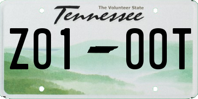TN license plate Z0100T
