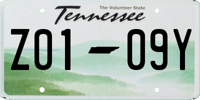 TN license plate Z0109Y