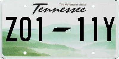TN license plate Z0111Y